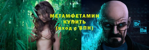 крисы Медвежьегорск