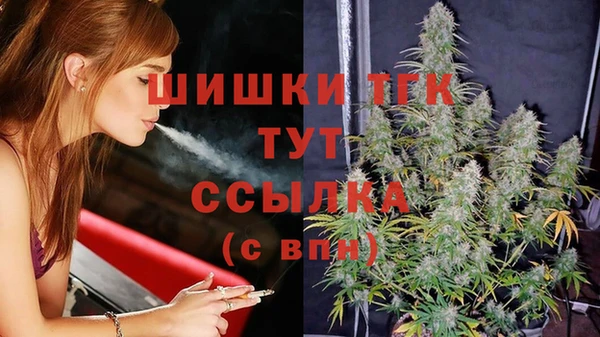 прущие грибы Мегион