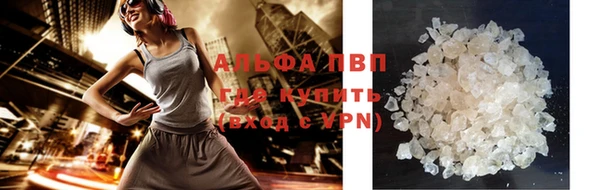 прущие грибы Мегион