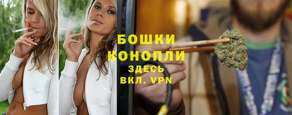 прущие грибы Мегион