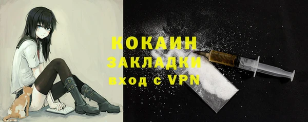 прущие грибы Мегион