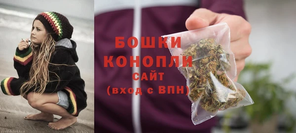 крисы Медвежьегорск