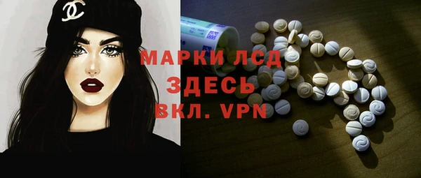 прущие грибы Мегион