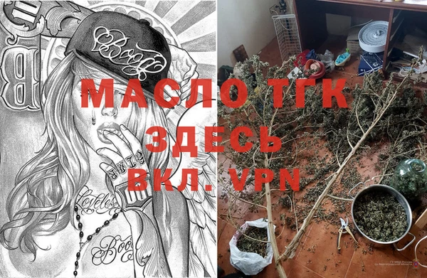 прущие грибы Мегион