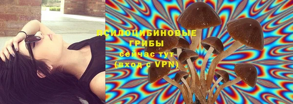 гидропоника Медногорск