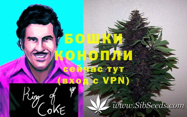 крисы Медвежьегорск