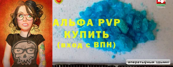 прущие грибы Мегион