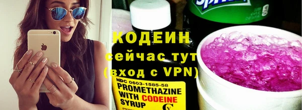 прущие грибы Мегион